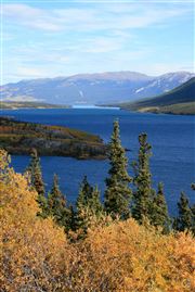Beautiful Yukon Bove Island On Tagish Lake