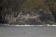 Cape Horn Landscape