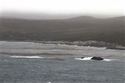 Cape Horn Terrain