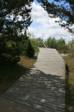 Curonian Spit Walkway