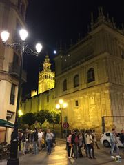 Downtown Seville At Night And  Seville Cathedral