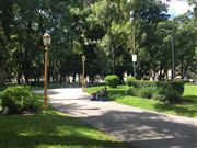 Enjoying The Afternoon