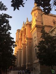 Granada Cathedral Trough The Trees
