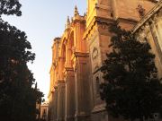 Granada Cathedral Trough The Trees
