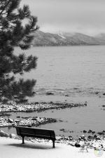 Incline Village Bench On Lake Tahoe
