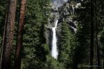 Lower Yosemite Falls
