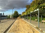 Maria Luisa Park And Guadalquivir River