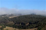 Misty Chilean Countryside