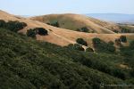 Mount Diablo State Park 2