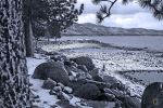 North Lake Tahoe Black And White Snow