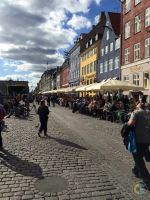 Nyhavn Cobblestone