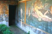 Pompeii Mural On Ancient Homes