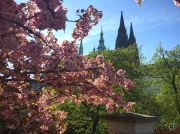 Prague S Copious Floral View
