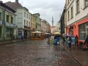 Rainy Days In Tallinn