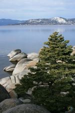 Rocky Lake Tahoe Shoreline