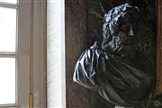 Shadowy Bust Of Man Palace Of Versailles