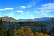 Solitary Yukon Bove Island On Tagish Lake