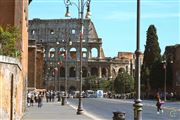 Street Level View Of The Colosseum