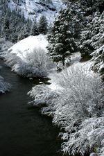Tahoe Winter Wonderland