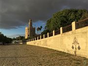 Torre Del Oro And Wall