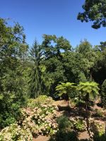 Quinta Da Regaleira Gardens