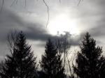 Natures Wonder