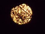 Nights Light
