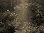 Obscurity