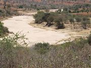 Dried River In Machakos