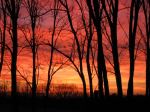 Red Sky At Dusk 