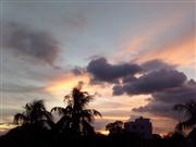 Art Of Nature