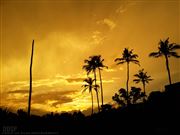 Art Of Sun Set