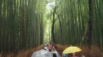 Bamboo Path