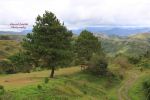Sierra Madre
