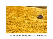 Golden Flares On Waves