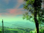 Onn Top Of Munnarhills