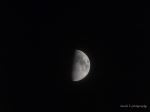 The Moon