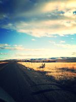 On The Road Again