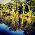 Bay Minette Creek