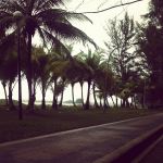 Lonely Beach