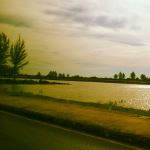 Sea Along The Road