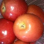 Sweet Red Apple