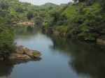 Nature Of Maunt Abu