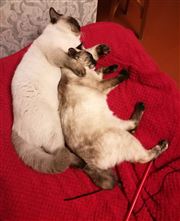 Time For A Nap