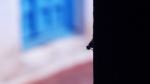Life Of Fly