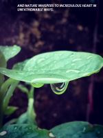 After The Rain