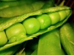 Fresh Peas