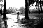 A Solitary Girl