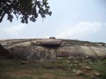  the Frog Rock