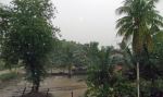 Monsoon Season
